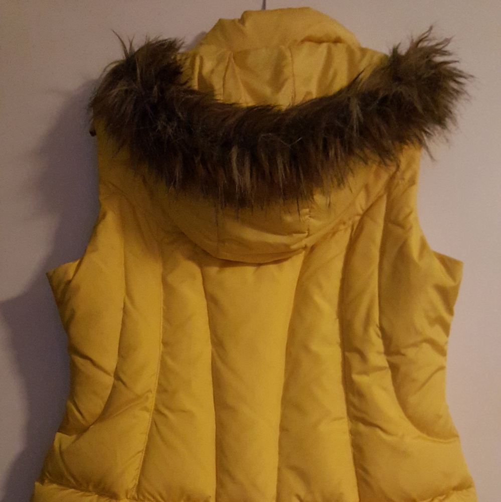 Ski Jacket fitted